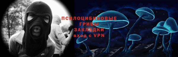 PSILOCYBIN Нязепетровск