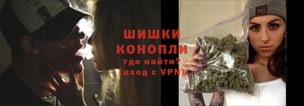 PSILOCYBIN Нязепетровск