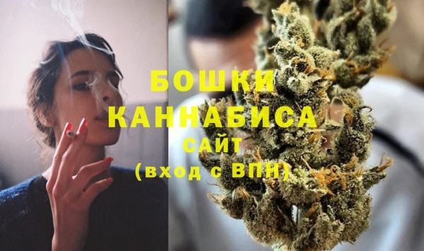 PSILOCYBIN Нязепетровск