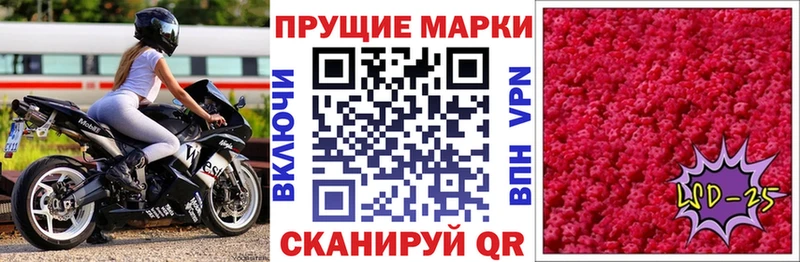 где купить Калтан Марки NBOMe 1,8мг