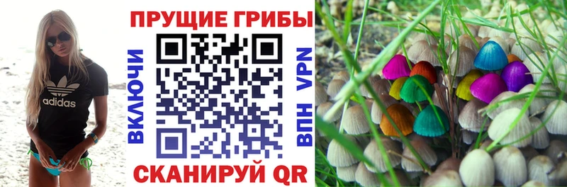 хочу   Калтан  Галлюциногенные грибы мицелий 